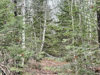 194 E Gulch Rd, Thorndike, ME 04986 - photo 2