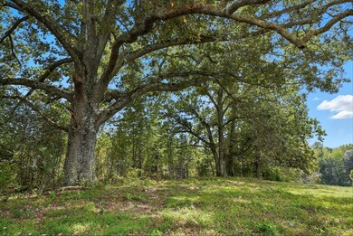 0 Liberty Rd, Sparta, TN 38583 - photo 6