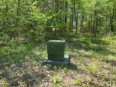 4 Tbd Big Cedar Oklahoma, Big Cedar, OK 74939 - photo 6