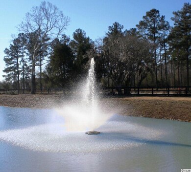 741 Weston Dr unit Lot 147, Conway, SC 29526 - photo 7