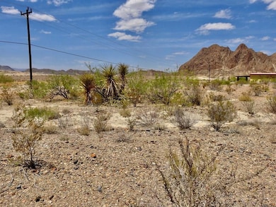 0 Hwy 118 unit 130769, Terlingua, TX 79852 - photo 3