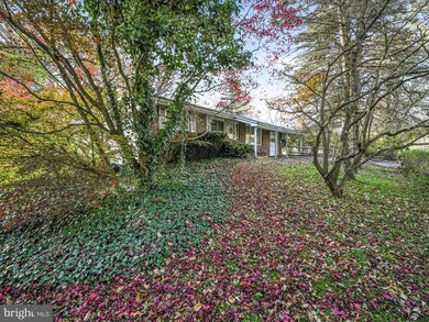 227 Maple Blvd, Orwigsburg, PA 17961 - photo 2