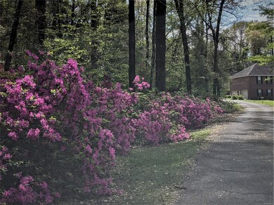 385 Sally Ridge Rd, Prattville, AL 36067 - photo 3