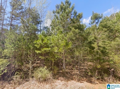 0 County Road 621 unit 21438044, Newell, AL 36280 - photo 3