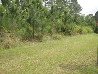 1139 Jim Truesdell Rd SE, Darien, GA 31305 - photo 6