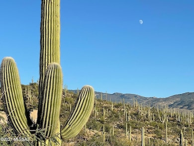 3051 N Placita de Nazca unit 1, Tucson, AZ 85749 - photo 5