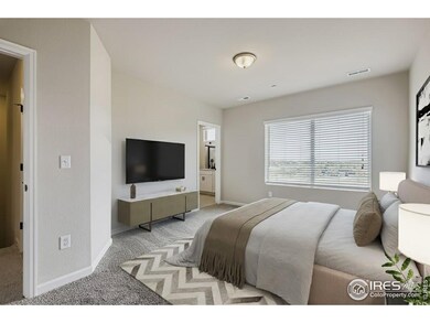 919 Schlagel St unit 7, Fort Collins, CO 80524 - photo 4