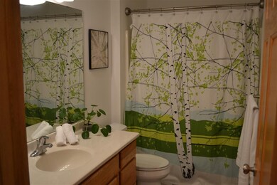 5204 Day Lily Place, Fitchburg, WI 53711 - photo 7