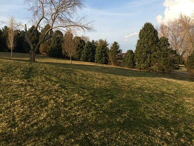 Yard/Garden.