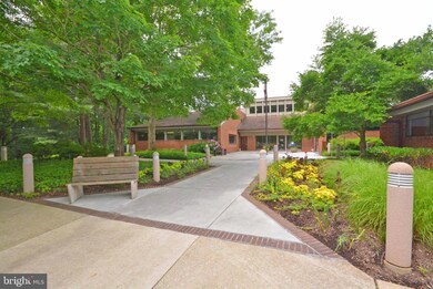 Clipper Cay unit 118, Annapolis, MD 21401 - photo 3