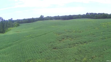 0 Us Hwy 231 unit 202534654, Loogootee, IN 47553 - photo 6