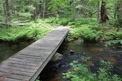 1147 Province Lake Rd, Effingham, NH 03882 - photo 3