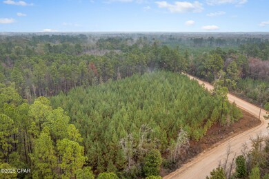 XXX White Rd unit 12.78 Acres, Chipley, FL 32428 - photo 4