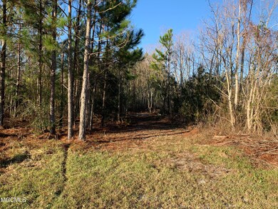 St. Martin Rd. Pic 2
