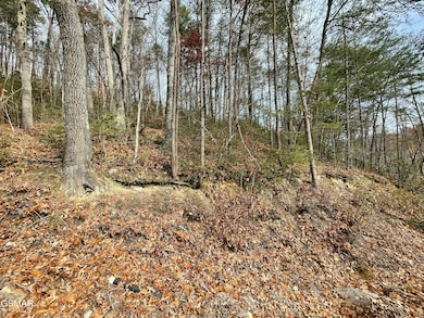 Lot 37R Sugar Mountain Way, Pigeon Forge, TN 37863 - photo 6
