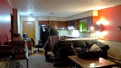 40 Pinecrest Dr, Durbin, WV 26264 - photo 6