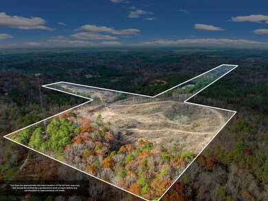 259 New Hope Dr, Cordova, AL 35550 - photo 2