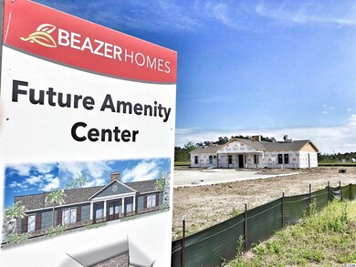 1056 Caprisia Loop unit Lot 136 - Georgetown, Myrtle Beach, SC 29579 - photo 3