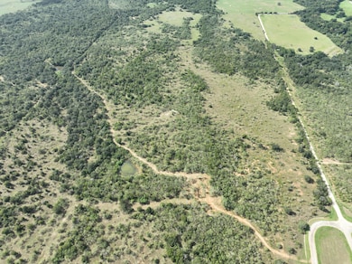 0 County Road 424, Waelder, TX 78959 - photo 4