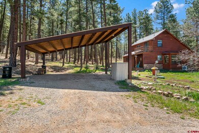 5010 County Road 228, Durango, CO 81301 - photo 2