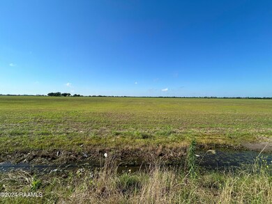 image_50413569