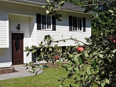 Fresh apples from this front yard tree
