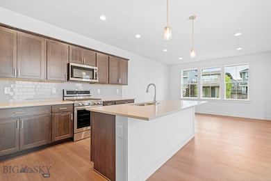 1133 Butler Creek Ave, Belgrade, MT 59714 - photo 4