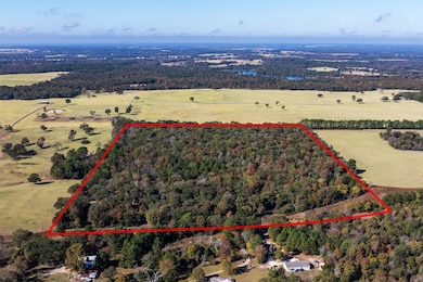 13793 An County Road 404, Palestine, TX 75803 - photo 4