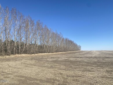 110th avenue 13
