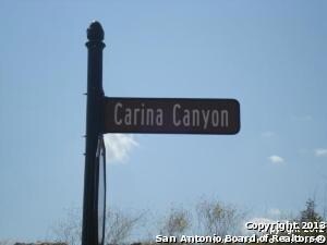 23906 Carina Canyon, San Antonio, TX 78255 - photo 2