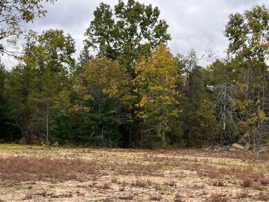 Newaygo 2