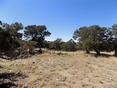 0 Mill Run Rd, Mosca, CO 81146 - photo 5