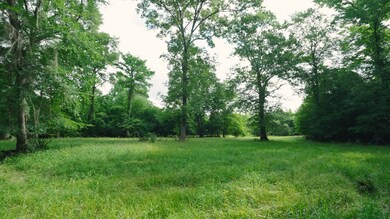 0 E River Rd unit 154466, Jacksonville, GA 31544 - photo 5