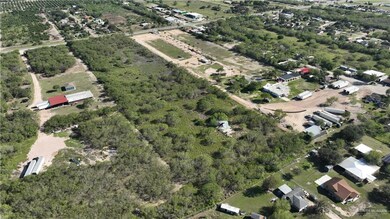 View of bird's eye view