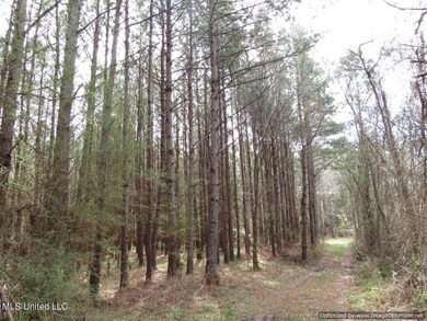 2. land-for-sale-mize-ms-smith-county-ms