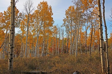 5 GSR H49A7998 Aspen Fall