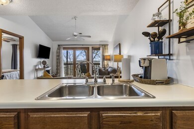 550 Notch Ln 11 Branson West MO 65737 (