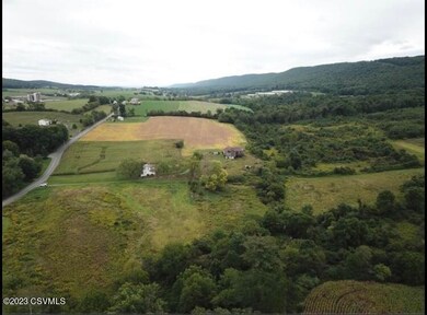 1042 Irish Valley Rd, Paxinos, PA 17860 - photo 3