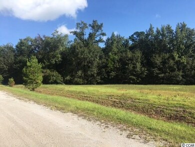 2.44 Acres Holcombe Ln, Conway, SC 29527 - photo 4