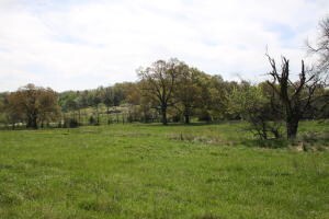 Tract 1 Bunker Rd, Harrison, AR 72601 - photo 2