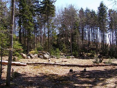 77 Montgomery Rd, Boothbay Harbor, ME 04538 - photo 3