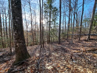 Lot 9 Judges Rd, Thornton, NH 03223 - photo 3