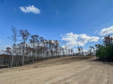 0 Firetower Rd unit RTC3051325, Centerville, TN 37033 - photo 3