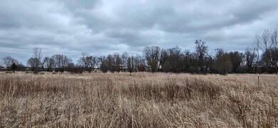 Parcel 7 Willow Rd NE, Carlos, MN 56319 - photo 7