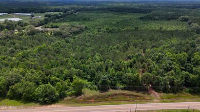 DJI_20250605160535_0677_D.00_00_04_29.St