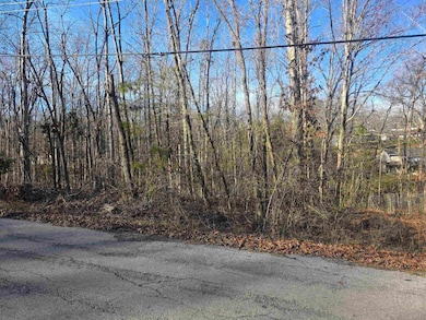 L-4 B-4 Powhatan Dr, Cherokee Village, AR 72529 - photo 7