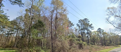 TBD Old Wilson Rd, Longs, SC 29568 - photo 3