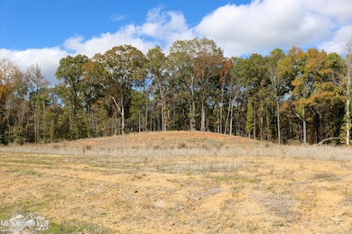 Tract 3 Hugh White State Park Road-4