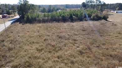 1.70 Acres-TBD State Road S-26-140, Loris, SC 29569 - photo 2