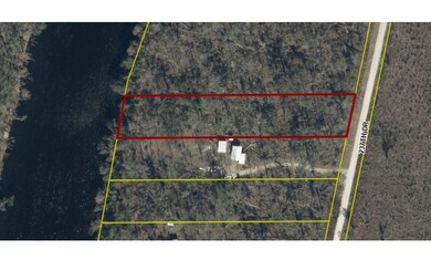 00 237th Drive Lot 5, Live Oak, FL 32060 - photo 6